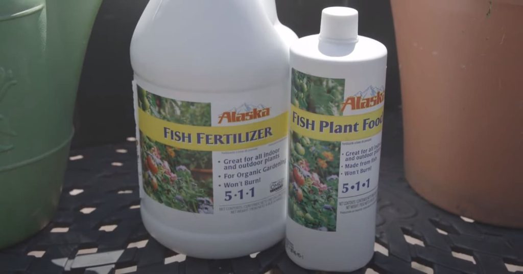 Alaska Fish Fertilizer To Grow Healthy Plants